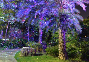 ����������� ���������